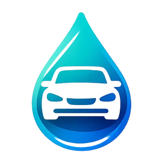 Lavage auto à domicile Salins